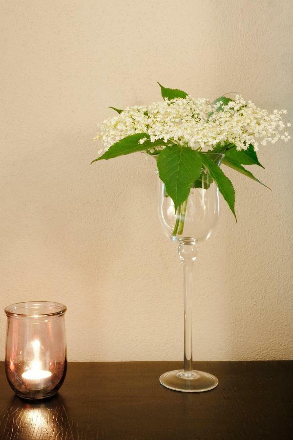 Vignola  B&B Il Sambuco מראה חיצוני תמונה